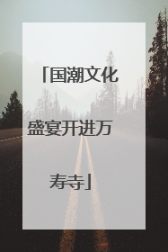 国潮文化盛宴开进万寿寺