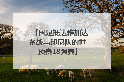 国足抵达雅加达备战与印尼队的世预赛18强赛