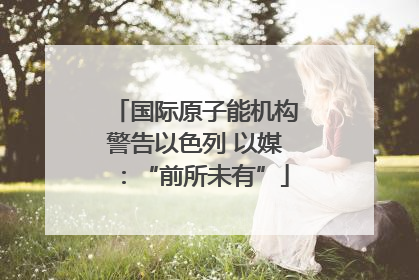 国际原子能机构警告以色列 以媒：“前所未有”