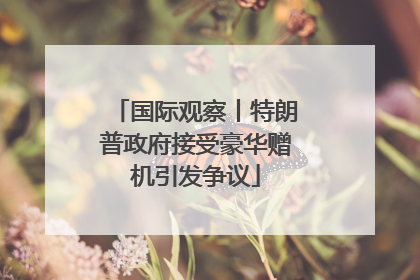 国际观察丨特朗普政府接受豪华赠机引发争议