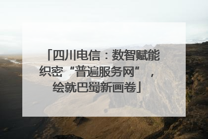 四川电信：数智赋能织密“普遍服务网”，绘就巴蜀新画卷