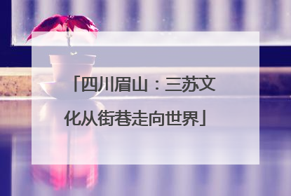 四川眉山：三苏文化从街巷走向世界