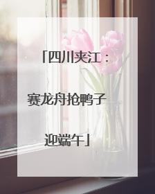 四川夹江：赛龙舟抢鸭子迎端午