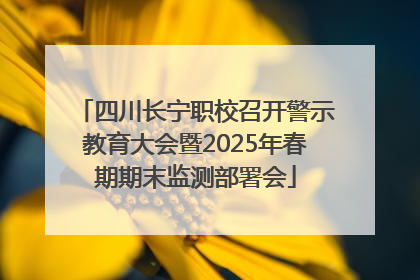 四川长宁职校召开警示教育大会暨2025年春期期末监测部署会