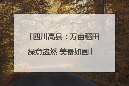 四川高县：万亩稻田绿意盎然 美景如画