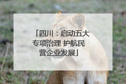 四川：启动五大专项治理 护航民营企业发展