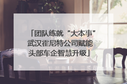团队练就“大本事” 武汉霍尼特公司赋能头部车企智慧升级