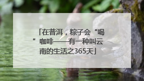 在普洱，粽子会“喝”咖啡——有一种叫云南的生活之365天