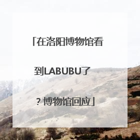 在洛阳博物馆看到LABUBU了？博物馆回应
