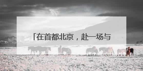 在首都北京，赴一场与月季的“倾城之约”