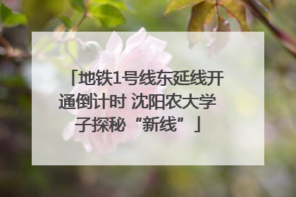 地铁1号线东延线开通倒计时 沈阳农大学子探秘“新线”