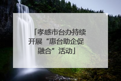孝感市台办持续开展“惠台助企促融合”活动