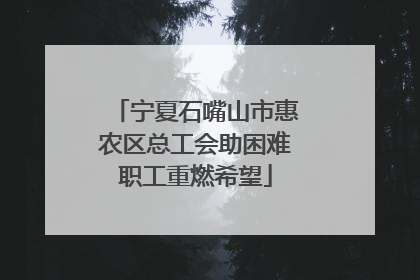 宁夏石嘴山市惠农区总工会助困难职工重燃希望
