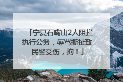 宁夏石嘴山2人阻拦执行公务，辱骂撕扯致民警受伤，拘！
