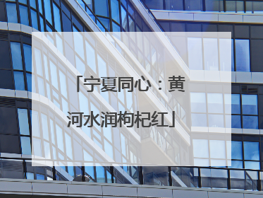 宁夏同心：黄河水润枸杞红
