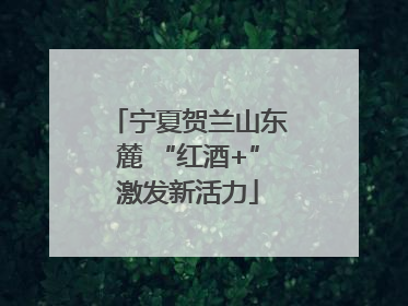 宁夏贺兰山东麓 “红酒+”激发新活力