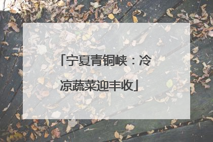 宁夏青铜峡：冷凉蔬菜迎丰收