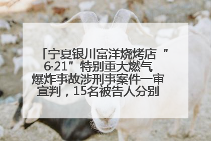 宁夏银川富洋烧烤店“6·21”特别重大燃气爆炸事故涉刑事案件一审宣判，15名被告人分别判刑六年至一年不等