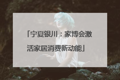 宁夏银川：家博会激活家居消费新动能