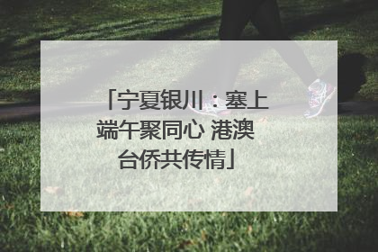 宁夏银川：塞上端午聚同心 港澳台侨共传情