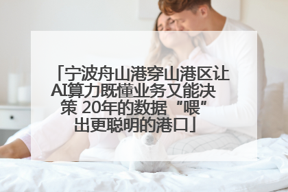 宁波舟山港穿山港区让AI算力既懂业务又能决策 20年的数据“喂”出更聪明的港口