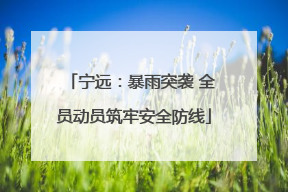 宁远：暴雨突袭 全员动员筑牢安全防线