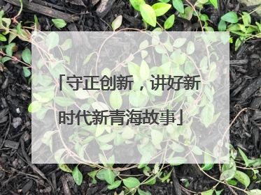 守正创新，讲好新时代新青海故事