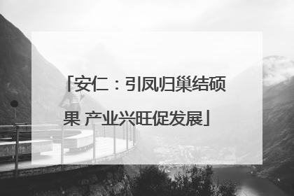 安仁：引凤归巢结硕果 产业兴旺促发展