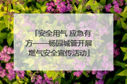 安全用气 应急有方——杨园城管开展燃气安全宣传活动
