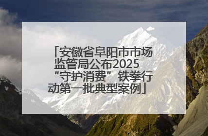 安徽省阜阳市市场监管局公布2025“守护消费”铁拳行动第一批典型案例
