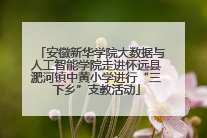 安徽新华学院大数据与人工智能学院走进怀远县淝河镇中黄小学进行“三下乡”支教活动