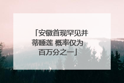安徽首现罕见并蒂睡莲 概率仅为百万分之一