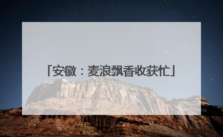 安徽：麦浪飘香收获忙