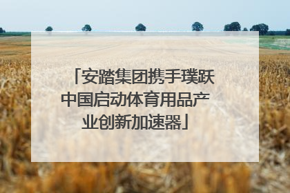 安踏集团携手璞跃中国启动体育用品产业创新加速器