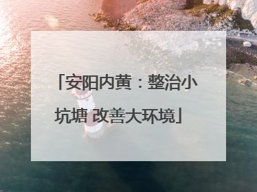安阳内黄：整治小坑塘 改善大环境