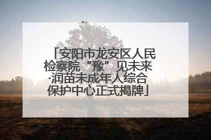 安阳市龙安区人民检察院“豫”见未来·润苗未成年人综合保护中心正式揭牌