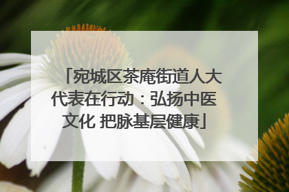 宛城区茶庵街道人大代表在行动：弘扬中医文化 把脉基层健康