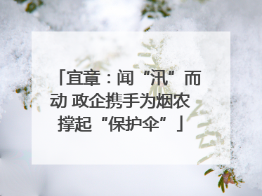 宜章：闻“汛”而动 政企携手为烟农撑起“保护伞”