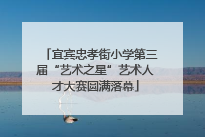 宜宾忠孝街小学第三届“艺术之星”艺术人才大赛圆满落幕