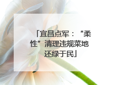 宜昌点军：“柔性”清理违规菜地 还绿于民