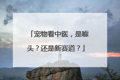 宠物看中医，是噱头？还是新赛道？