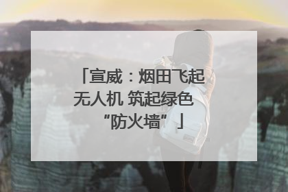 宣威：烟田飞起无人机 筑起绿色“防火墙”