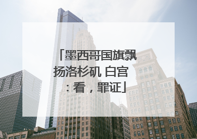 墨西哥国旗飘扬洛杉矶 白宫：看，罪证