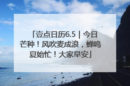 壹点日历6.5｜今日芒种！风吹麦成浪，蝉鸣夏始忙！大家早安