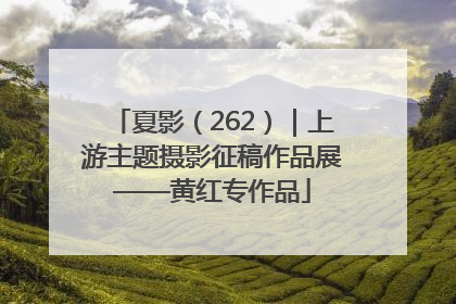 夏影（262）｜上游主题摄影征稿作品展——黄红专作品
