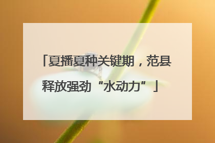 夏播夏种关键期，范县释放强劲“水动力”