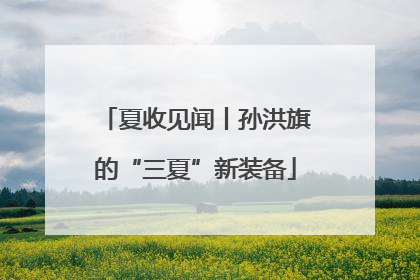 夏收见闻丨孙洪旗的“三夏”新装备