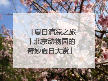 夏日清凉之旅丨北京动物园的奇妙夏日大赏