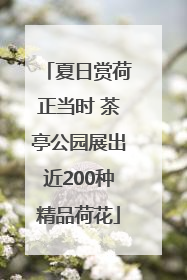 夏日赏荷正当时 茶亭公园展出近200种精品荷花