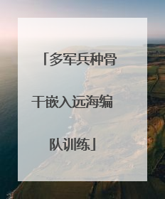 多军兵种骨干嵌入远海编队训练